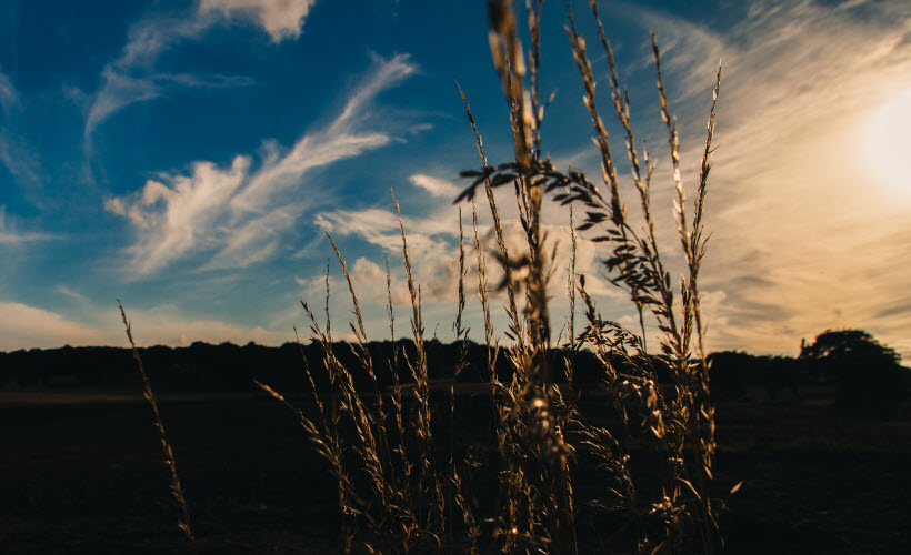 Sagittis tempus lacus enim